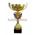 Купить подарочный кубок 4048A (1) в интернет-магазине kubki-olimp.ru и cup-olimp.ru Фото 0