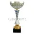 Заказать кубок с надписью 4070F (6) в интернет-магазине kubki-olimp.ru и cup-olimp.ru Фото 0