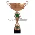Заказать кубок с надписью 4092F (6) в интернет-магазине kubki-olimp.ru и cup-olimp.ru Фото 0