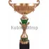 Заказать кубок с гравировкой 4115D (4) в интернет-магазине kubki-olimp.ru и cup-olimp.ru Фото 0