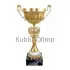 Подарочный кубок с индивидуальной гравировкой 4117D (4) в интернет-магазине kubki-olimp.ru и cup-olimp.ru Фото 0