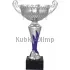 Купить кубок с надписью 7050C-S (3) в интернет-магазине kubki-olimp.ru и cup-olimp.ru Фото 0