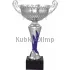 Купить кубок с надписью 7050D-S (4) в интернет-магазине kubki-olimp.ru и cup-olimp.ru Фото 0