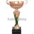 Сделать гравировку на кубке 7055E-B (5) в интернет-магазине kubki-olimp.ru и cup-olimp.ru Фото 0