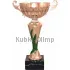 Сделать гравировку на кубке 7055D-B (4) в интернет-магазине kubki-olimp.ru и cup-olimp.ru Фото 0