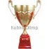Кубок с надписью на заказ 1040D (4) в интернет-магазине kubki-olimp.ru и cup-olimp.ru Фото 0