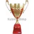 Кубок с надписью на заказ 1040B (2) в интернет-магазине kubki-olimp.ru и cup-olimp.ru Фото 0