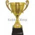 Наградной кубок с надписью  3013D (4) с крышкой в интернет-магазине kubki-olimp.ru и cup-olimp.ru Фото 0