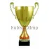Кубок призовой 3068E (5) в интернет-магазине kubki-olimp.ru и cup-olimp.ru Фото 0