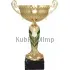 Купить кубок с надписью 8077F (6) в интернет-магазине kubki-olimp.ru и cup-olimp.ru Фото 0