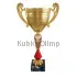 Подарочный кубок РУС1114 с крышкой в интернет-магазине kubki-olimp.ru и cup-olimp.ru Фото 4