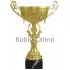 Сделать гравировку на кубке 346C в интернет-магазине kubki-olimp.ru и cup-olimp.ru Фото 0