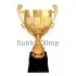 Подарочный кубок 1043 в интернет-магазине kubki-olimp.ru и cup-olimp.ru Фото 0