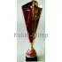 Кубки наградные спортивные K502 C в интернет-магазине kubki-olimp.ru и cup-olimp.ru Фото 1