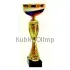 Купить золотистый кубок RUS3C в интернет-магазине kubki-olimp.ru и cup-olimp.ru Фото 0