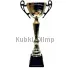 Кубок с гравировкой на заказ и cup-olimp.ru Кубок K707A в интернет-магазине kubki-olimp.ru и cup-olimp.ru Фото 0