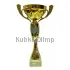 Кубки наградные спортивные К598B в интернет-магазине kubki-olimp.ru и cup-olimp.ru Фото 0