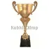 Заказать кубок с надписью в и cup-olimp.ru РУС1125 F недорого в интернет-магазине kubki-olimp.ru и cup-olimp.ru Фото 0