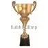 Заказать кубок с надписью в и cup-olimp.ru РУС1125 E недорого в интернет-магазине kubki-olimp.ru и cup-olimp.ru Фото 0