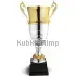 Купить кубок престижный D3692B в интернет-магазине kubki-olimp.ru и cup-olimp.ru Фото 0