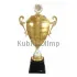 Купить наградной кубок серии D3669A в интернет-магазине kubki-olimp.ru и cup-olimp.ru Фото 0