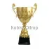 Купить кубок для награждения D3704-C в интернет-магазине kubki-olimp.ru и cup-olimp.ru Фото 0