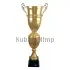 Купить золотистый кубок нестандартной формы, серия D3700B в интернет-магазине kubki-olimp.ru и cup-olimp.ru Фото 0