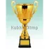 кубок наградной купить Д2038 C в интернет-магазине kubki-olimp.ru и cup-olimp.ru Фото 0