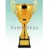 кубок наградной купить Д2038 C в интернет-магазине kubki-olimp.ru и cup-olimp.ru Фото 0