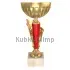 Заказать кубок с надписью 7128D в интернет-магазине kubki-olimp.ru и cup-olimp.ru Фото 0