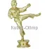 Подарочные кубки и статуэтки каратэ F99W в интернет-магазине kubki-olimp.ru и cup-olimp.ru Фото 0