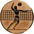 Вкладыш волейбол D1 A6/B в медали спортивные для детей в интернет-магазине kubki-olimp.ru и cup-olimp.ru Фото 0