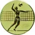 Купить вкладыш волейбол am2-19-g в медали спортивные оптом в интернет-магазине kubki-olimp.ru и cup-olimp.ru Фото 0