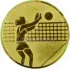 Спортивные вкладыш женский волейбол am2-20-g в медали цены каталог в интернет-магазине kubki-olimp.ru и cup-olimp.ru Фото 0