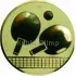 Спортивные вкладыш настольный теннис am1-36-g в медали на заказ в интернет-магазине kubki-olimp.ru и cup-olimp.ru Фото 0