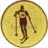 Заказать спортивные вкладыш лыжи am2-96-g в медали в интернет-магазине kubki-olimp.ru и cup-olimp.ru Фото 0