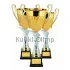 Кубок престижный D2049B в интернет-магазине kubki-olimp.ru и cup-olimp.ru Фото 0