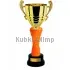 Купить кубок для награждения D2297Z C в интернет-магазине kubki-olimp.ru и cup-olimp.ru Фото 0