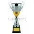 Кубки наградные спортивные D2037B в интернет-магазине kubki-olimp.ru и cup-olimp.ru Фото 0