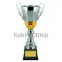 Кубки наградные спортивные D2037C в интернет-магазине kubki-olimp.ru и cup-olimp.ru Фото 0
