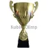 кубок наградной купить RUS 6C в интернет-магазине kubki-olimp.ru и cup-olimp.ru Фото 0