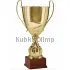 Кубок призовой R2057D в интернет-магазине kubki-olimp.ru и cup-olimp.ru Фото 0