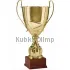 Кубок призовой R2057B в интернет-магазине kubki-olimp.ru и cup-olimp.ru Фото 0