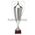 Заказать кубок с надписью R1042-N B в интернет-магазине kubki-olimp.ru и cup-olimp.ru Фото 0