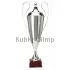 Заказать кубок с надписью R1042-N C в интернет-магазине kubki-olimp.ru и cup-olimp.ru Фото 0