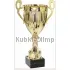 Подарочный кубок с индивидуальной гравировкой R3001F в интернет-магазине kubki-olimp.ru и cup-olimp.ru Фото 0