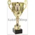 Кубки наградные спортивные R4001A в интернет-магазине kubki-olimp.ru и cup-olimp.ru Фото 0