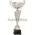 Кубки наградные спортивные R4011C в интернет-магазине kubki-olimp.ru и cup-olimp.ru Фото 0