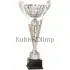 Кубки наградные спортивные R4011C в интернет-магазине kubki-olimp.ru и cup-olimp.ru Фото 0