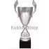Купить кубок с надписью R4127F в интернет-магазине kubki-olimp.ru и cup-olimp.ru Фото 0